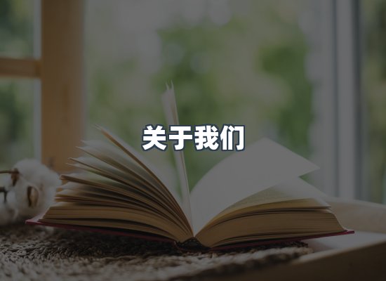 专业团队
